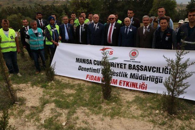 H&uuml;k&uuml;ml&uuml;ler 15 Temmuz Anısına Fidan Dikti 2