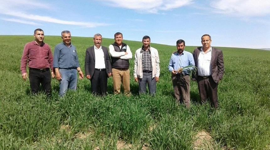 Yağışlar Batmanlı &Ccedil;ift&ccedil;inin Y&uuml;z&uuml;n&uuml; G&uuml;ld&uuml;rd&uuml;