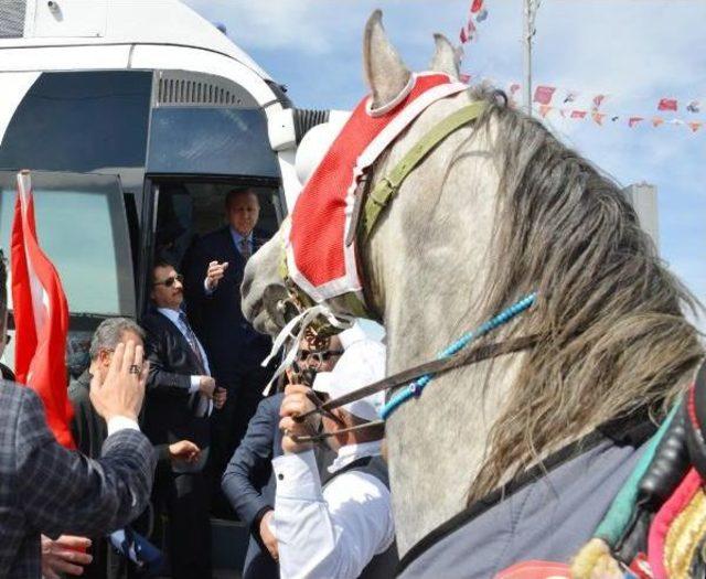 Cumhurbaşkanı Erdoğan'ı Atlı Ciritçiler Karşıladı