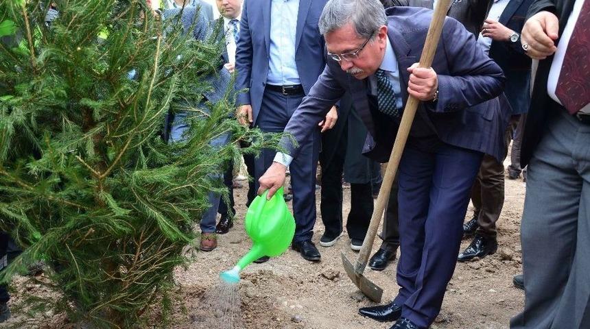 Pursaklar&rsquo;da Ağa&ccedil;landırma Seferberliği S&uuml;r&uuml;yor