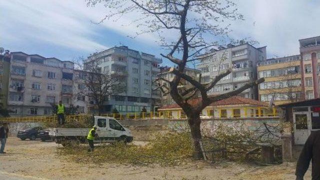 Ordu Cumhurbaşkanı na Hazır 1