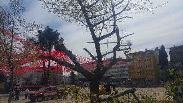 Ordu Cumhurbaşkanı na Hazır 2