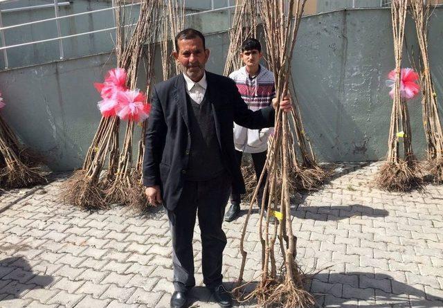 Adilcevaz&rsquo;da &Ccedil;ift&ccedil;ilere 6 Bin 500 Fidan Dağıtıldı 1