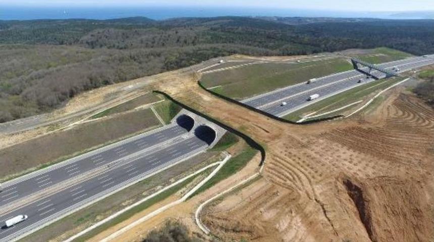 Yavuz Sultan Selim K&ouml;pr&uuml;s&uuml; &Ccedil;evre Yolunda Dikilen Ağa&ccedil;ların Bir B&ouml;l&uuml;m&uuml; Kurudu