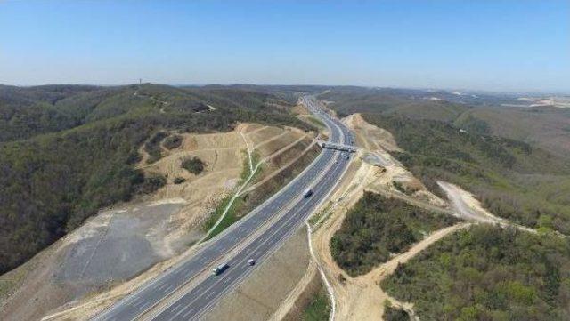 Yavuz Sultan Selim Köprüsü Çevre Yolunda Dikilen Ağaçların Bir Bölümü Kurudu 2