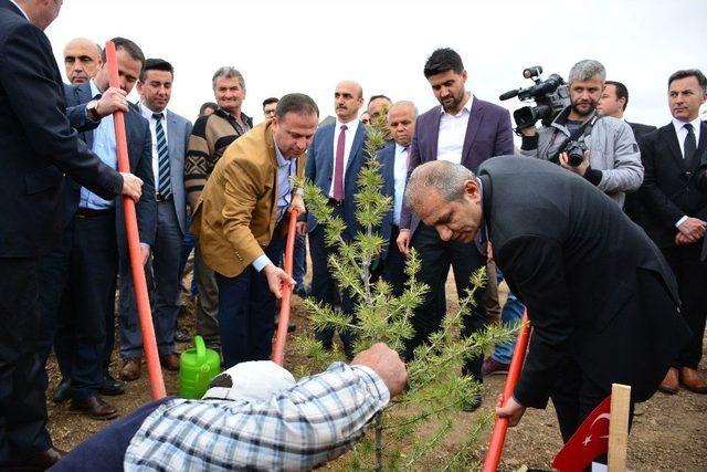 Erbaa&rsquo;da 15 Temmuz Şehitleri Anısına Hatıra Ormanı Oluşturuldu 2