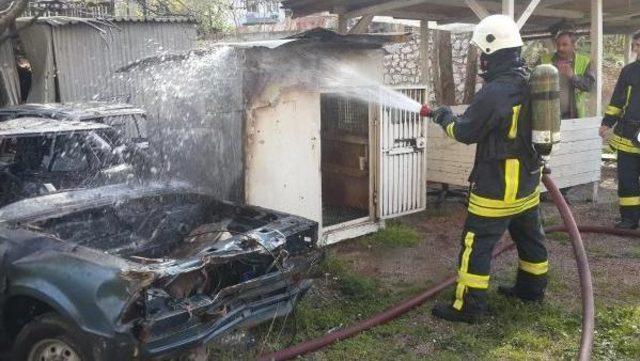 Hurda Otomobil Yangınında 4 G&uuml;vercin Telef Oldu 3
