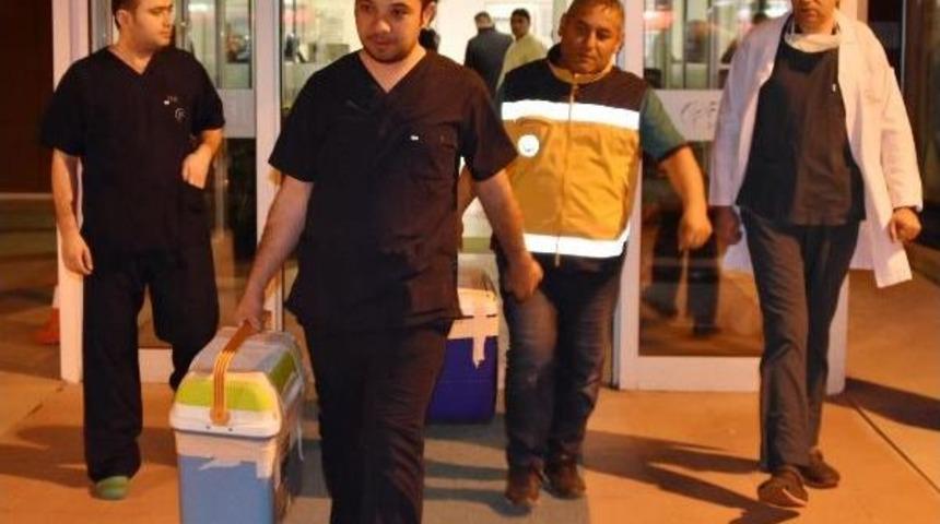 Organlarıyla 3 Kişiye Umut Olacak