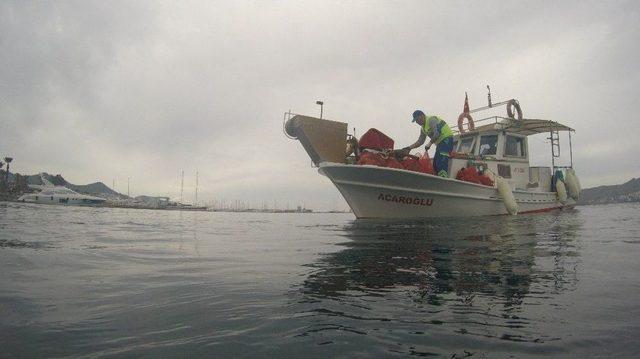 Deniz Dibi Temizlik Kampanyası, Bu Hafta Da Yalıkavak’ta Yapıldı