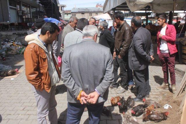 Ağrı’da Evinde Beslediği Tavuk Ve Horozları Pazarda Satıyor