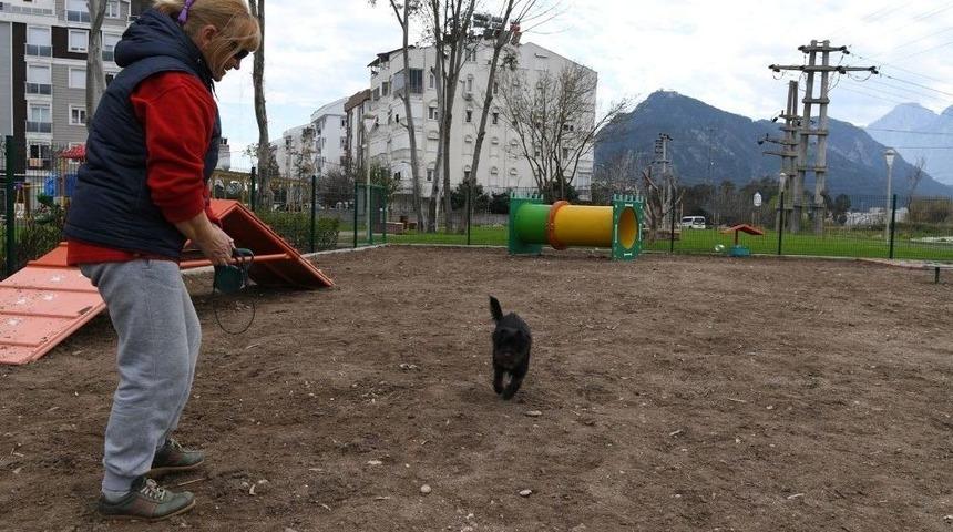 K&ouml;pek Oyun Parkının &Uuml;&ccedil;&uuml;nc&uuml;s&uuml; Liman&rsquo;a