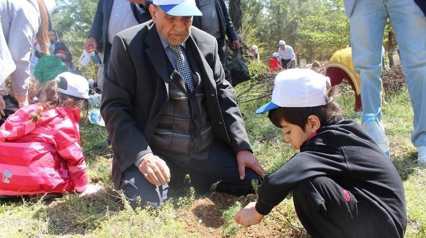 Gkv&rsquo;de Y&uuml;zlerce Fidanı Toprakla Buluştu