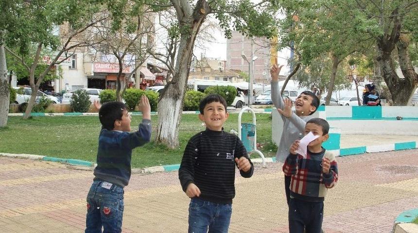 &Ccedil;ocukların Ağa&ccedil;lardan D&uuml;şen Beyaz Polenlerle Kar Keyfi