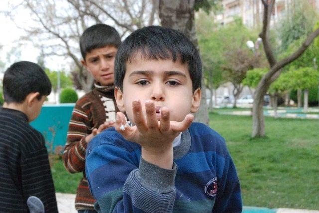 Çocukların Ağaçlardan Düşen Beyaz Polenlerle Kar Keyfi