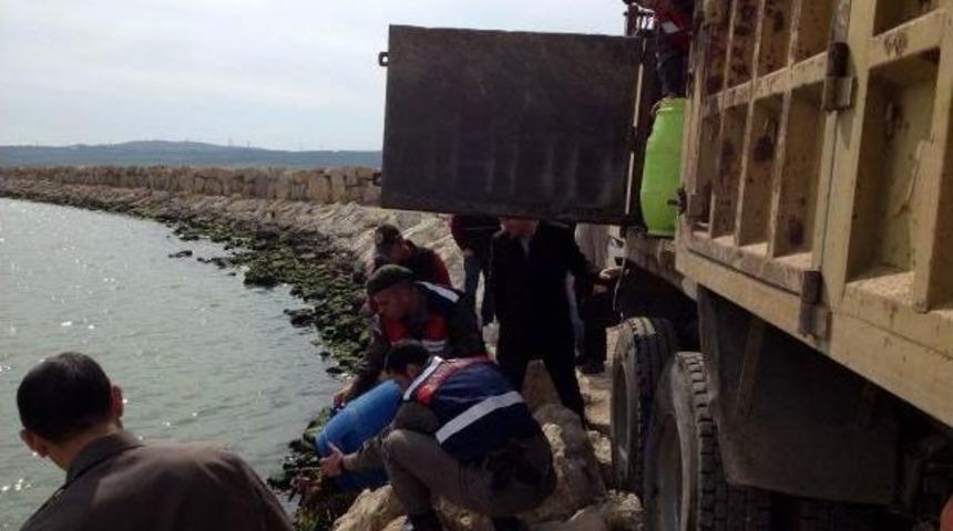 Gelibolu'da 2.5 Ton Ka&ccedil;ak Deniz Patlıcanı Ele Ge&ccedil;irildi