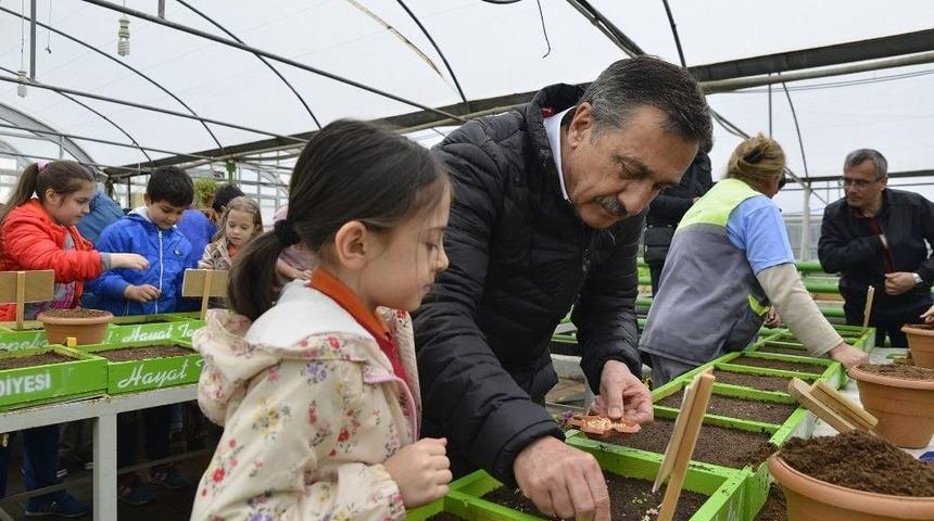 Miniklerler Başkan Ata&ccedil; İle Beraber Tohum Ekti
