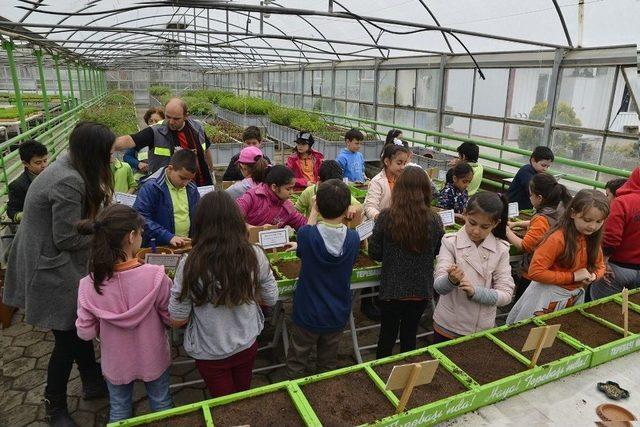 Miniklerler Başkan Ataç İle Beraber Tohum Ekti