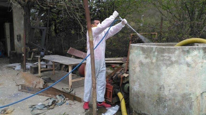 Ey&uuml;p&rsquo;te Larva İla&ccedil;lama &Ccedil;alışmaları Başladı