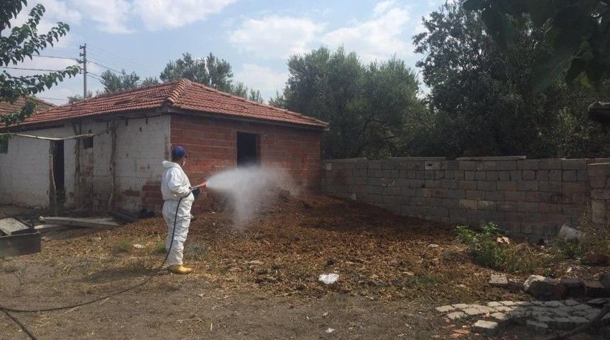 B&uuml;y&uuml;kşehir Sinek Ve Haşerelerle M&uuml;cadele Ediyor