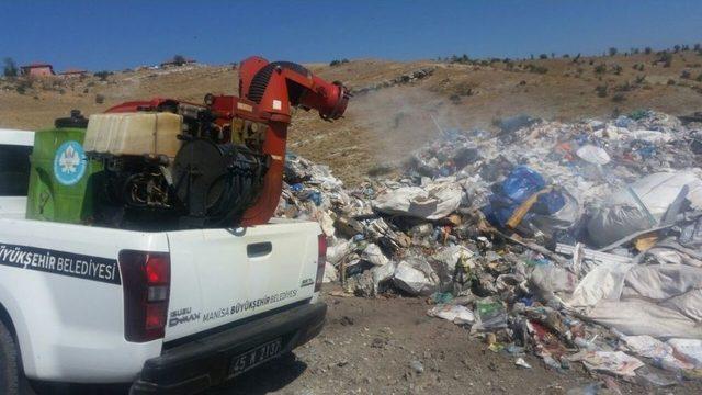 Büyükşehir Sinek Ve Haşerelerle Mücadele Ediyor