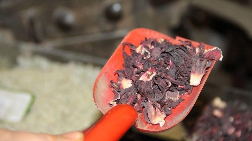 Bahar Yorgunluğuna Karşı Bitki &Ccedil;ayları