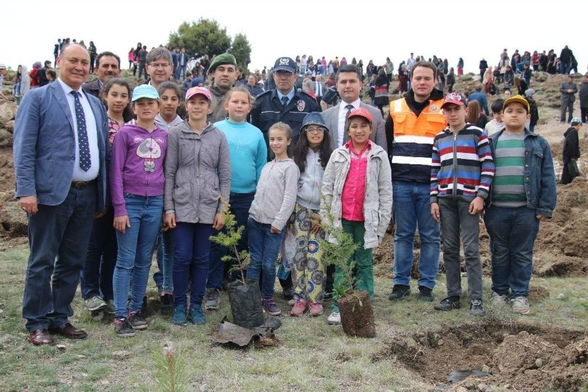 Seyitgazi&rsquo;de Herkesin Bir Fidanı Var