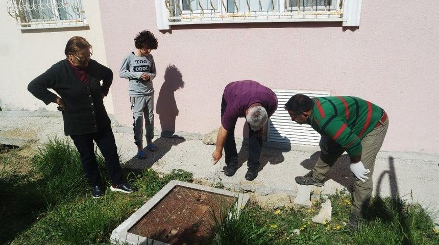 Beton Altındaki Yavru K&ouml;pekler Kurtarıldı