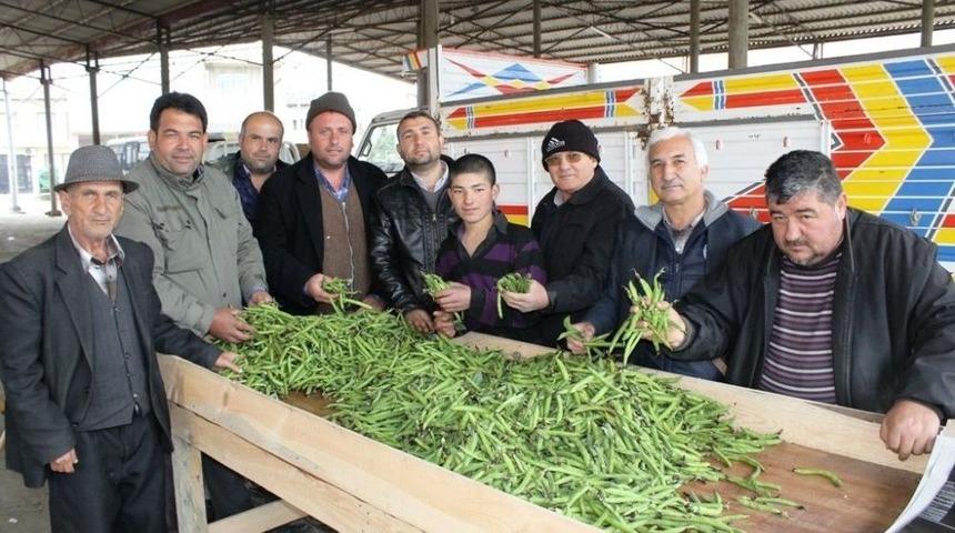 Ödemiş’te Bakla Ve Bezelye Vakti