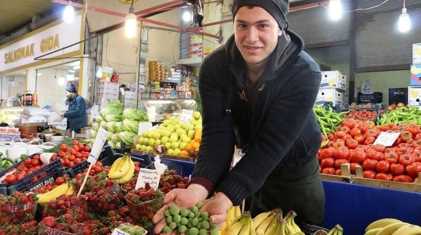 Yerli Kayısı Tezgahlara İnmeye Başladı