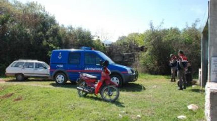 Ağıldan Koyunlar &Ccedil;alındı