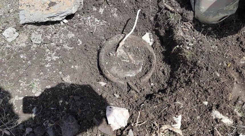 Tuzaklanan Eyp İmha Edildi