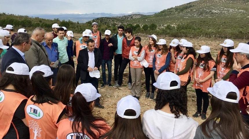 Liseli Öğrenciler Fidan Dikti