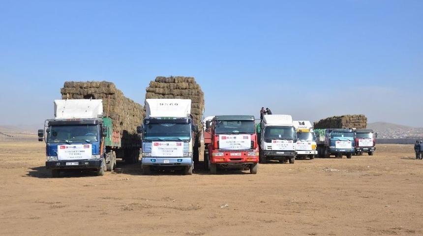 Tika&rsquo;dan Moğolistan&rsquo;daki Hayvancılık Projelerine Destek