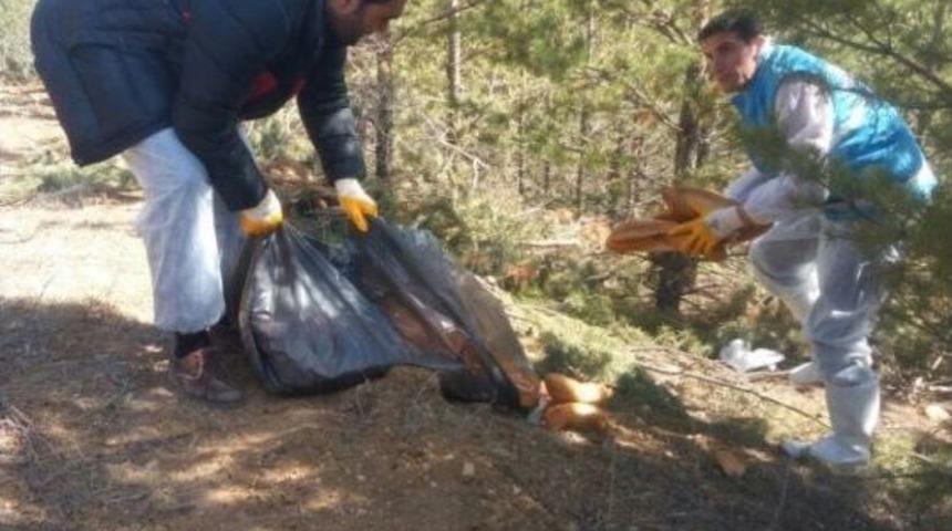 Yaban Hayvanları İ&ccedil;in Doğaya Yem Bırakıldı