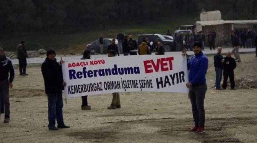 İstanbul'un 3 K&ouml;y&uuml;nde Ağa&ccedil; Budama Gerginliği