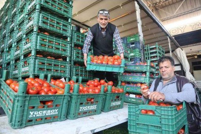 Ortadoğu'da Sular Isındı, Sebze Ve Meyve Üreticisi Kaygılandı