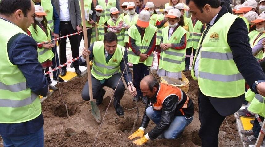 İpekyolu Belediyesinden Fidan Dikimi