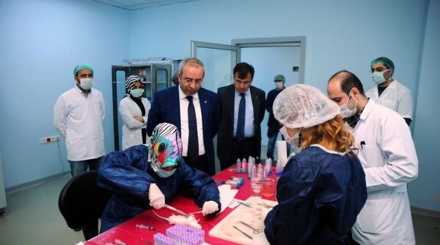 Yy&uuml;&rsquo;de Deney Hayvanı Yetiştiriciliği