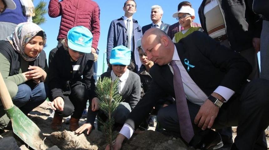 Kocasinan&rsquo;da Ağa&ccedil;landırma &Ccedil;alışmaları T&uuml;m Hızıyla Devam Ediyor