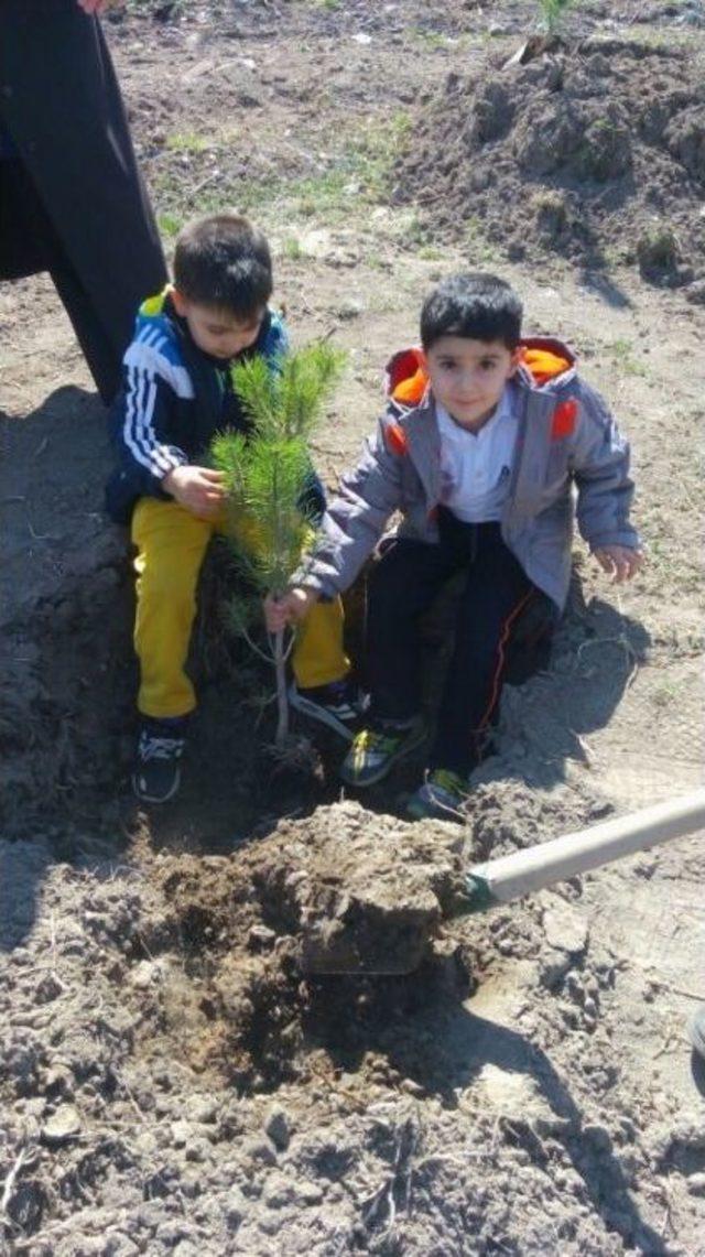 Kocasinan’da Ağaçlandırma Çalışmaları Tüm Hızıyla Devam Ediyor