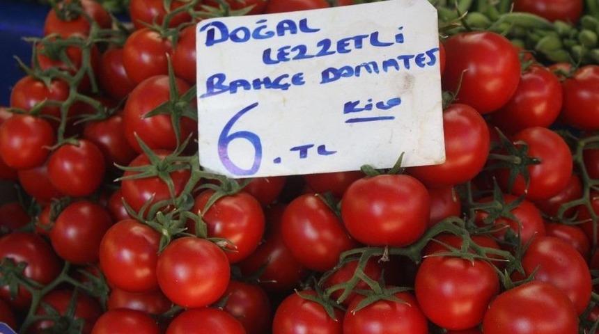 Domates Tavukla Yarışıyor