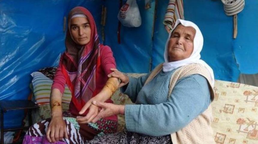 Bah&ccedil;ede &Ccedil;alışan Kadına Sokak K&ouml;peği Saldırdı