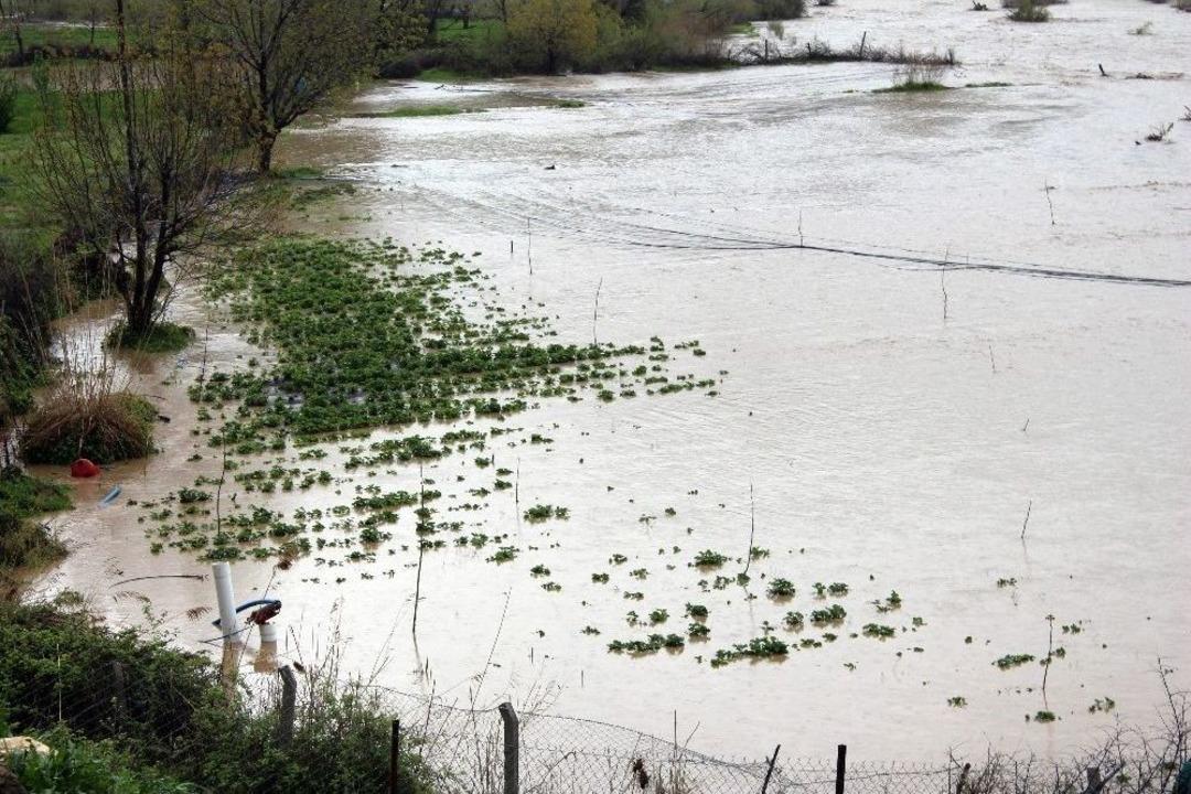 Sason &Ccedil;ayı Taştı, Meyve Tarlaları Sular Altında Kaldı