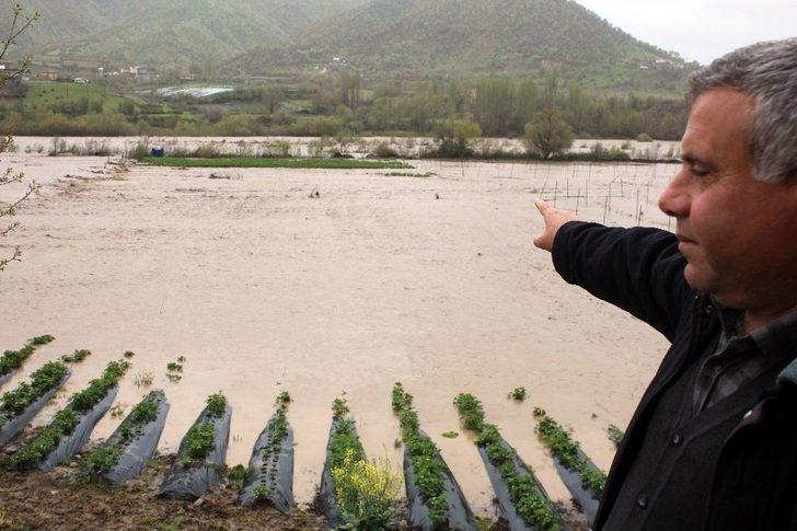 Sason Çayı Taştı, Meyve Tarlaları Sular Altında Kaldı G3