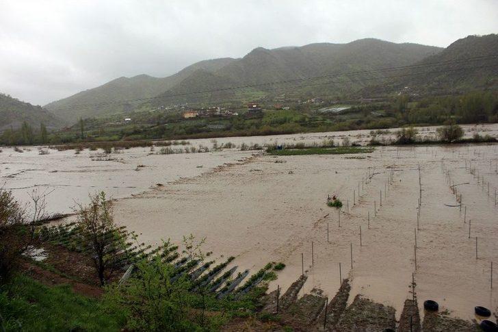 Sason Çayı Taştı, Meyve Tarlaları Sular Altında Kaldı G4