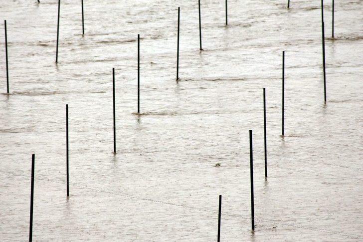 Sason Çayı Taştı, Meyve Tarlaları Sular Altında Kaldı G5