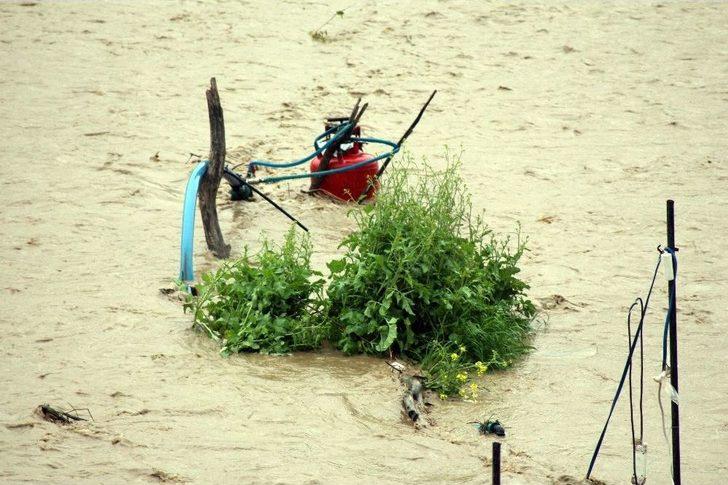 Sason Çayı Taştı, Meyve Tarlaları Sular Altında Kaldı G1