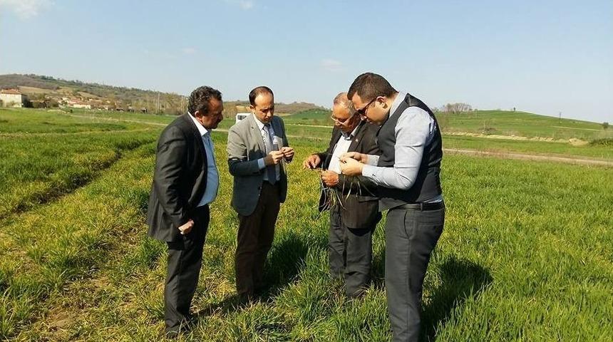 Tarım Müdürlüğü Ekiplerinin Hububat Kontrolleri Başladı