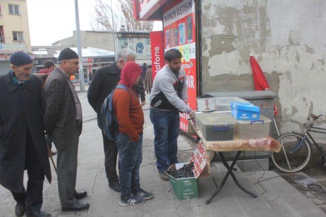 Ağrı’da Çörek Otu Yağı