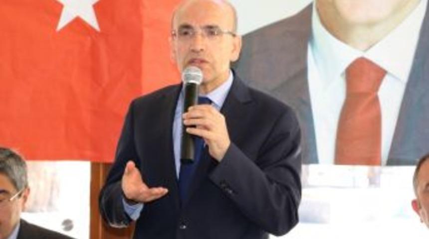 Başbakan Yardımcısı Şimsek: